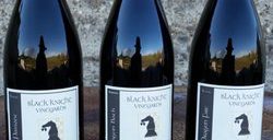 black knight vineyards