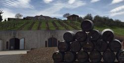 bolen winery