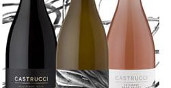 castrucci wines