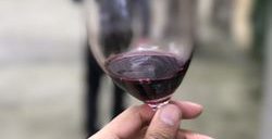 black stallion winery