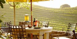 porter family vineyards