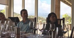 shafer vineyards
