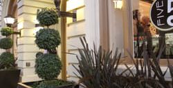 hotel shattuck plaza