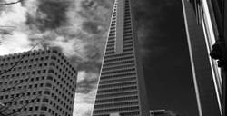 transamerica redwood park