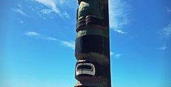 the totem pole of point lobos